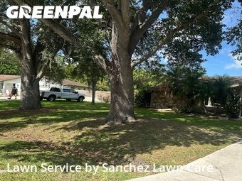 Grass Cut nearby Sarasota, FL, 