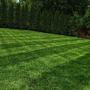 grass-cutting-businesses-in-Medford-MA
