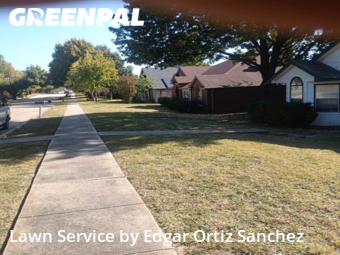 Grass Cut nearby Mc Kinney, TX, 