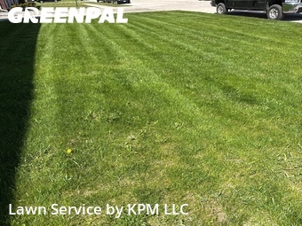 Grass Cutting nearby Belgium, WI, 