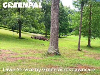 Yard Cutting nearby Kingsport, TN, 