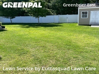 Lawn Cut nearby Chesapeake, VA, 