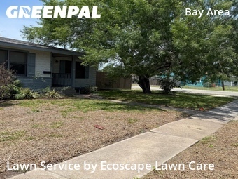 Lawn Care nearby Corpus Christi, TX, 
