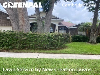 Lawn Service nearby Valrico, FL, 