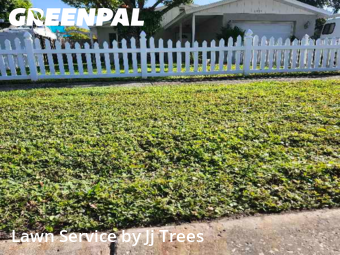Lawn Cuttingin Clearwater,33756,Lawn Service by Jj Trees, work completed in Dec , 2025