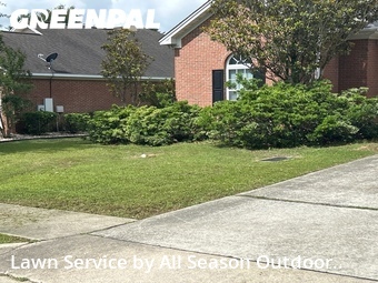 Lawn Maintenance nearby Auburn, AL, 