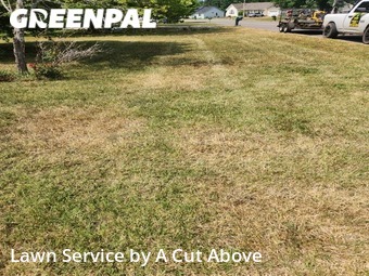 Lawn Cutting nearby Smyrna, TN, 