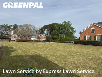 Lawn Cut nearby Duluth, GA, 
