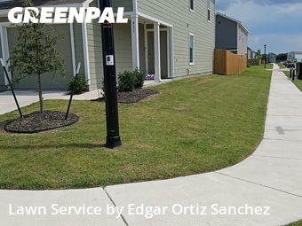 Lawn mowed in Princeton, 75407