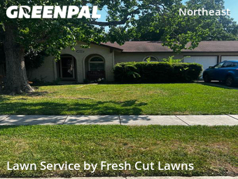 Lawn Cutting nearby San Antonio, TX, 