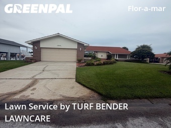 Yard Mowing nearby New Port Richey, FL, 
