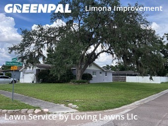 Grass Cutting nearby Brandon, FL, 