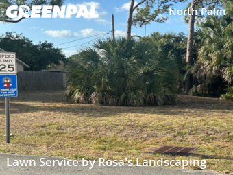 Weekly Mowing in Jupiter, 33458, Lawn Cutting by Rosa's Landscaping , work completed in Nov , 2025