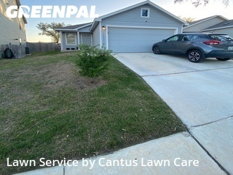 Yard Cutting nearby San Antonio, TX, 