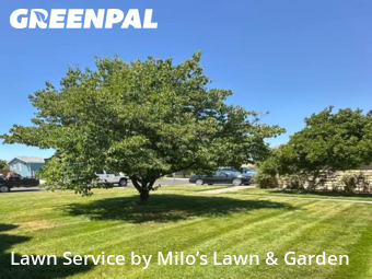 Lawn Cut nearby Richland, WA, 