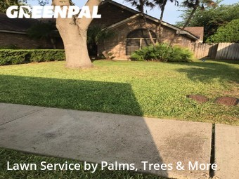 Lawn Mowing nearby Mc Allen, TX, 