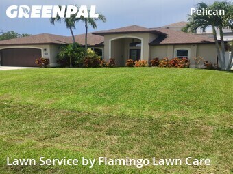 Lawn Mow nearby Cape Coral, FL, 