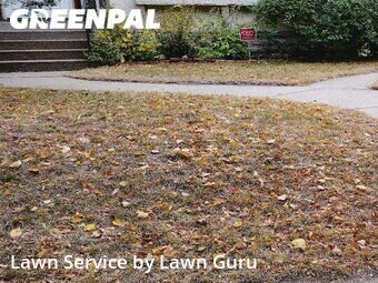 Lawn Mow nearby Minneapolis, MN, 