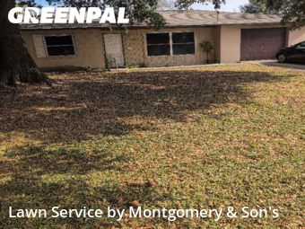 Lawn Mowing nearby Lakeland, FL, 