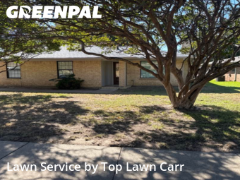Landscapers In Irving,75060,Landscaping Services by Top Lawn Carr, work completed in Oct , 2025