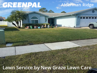Lawn Cutin Palm Harbor,34684,Lawn Cutting by New Graze Lawn Care , work completed in Dec , 2025