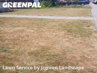 Grass Cut nearby San Lorenzo, CA, 