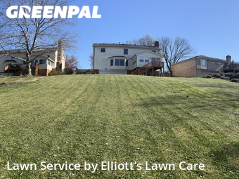 Yard Cutting nearby Lexington, KY, 