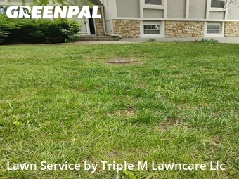 Grass Cutting nearby Lee's Summit, MO, 