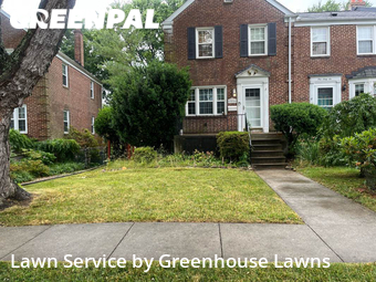 Grass Cut nearby Baltimore, MD, 