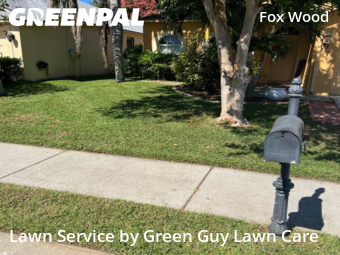 Lawn Mow nearby Trinity, FL, 