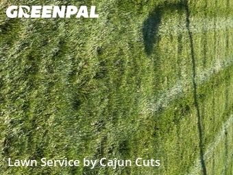 Lawn Maintenance nearby Murfreesboro, TN, 