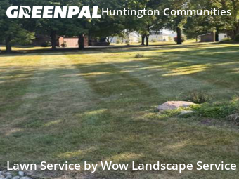 Lawn Cut nearby Indianapolis, IN, 