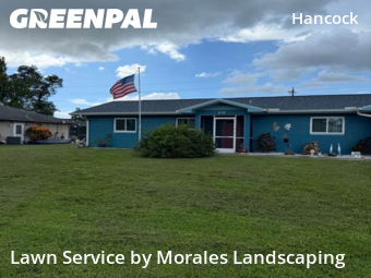Grass Cutting nearby Cape Coral, FL, 