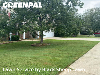 Lawn Mowing nearby Rock Hill, NC, 