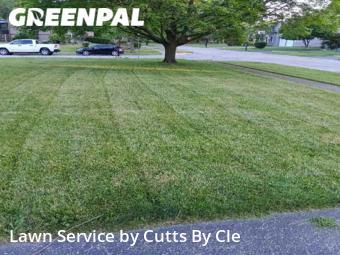 Lawn Cut nearby Maumee, OH, 