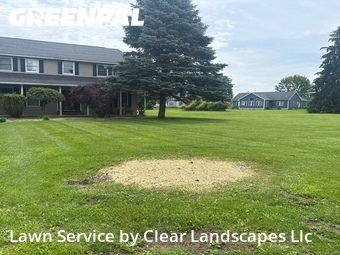 Lawn Maintenance nearby Bridgeport, NY, 
