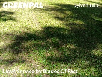 Lawn Cutting nearby Atlanta, GA, 