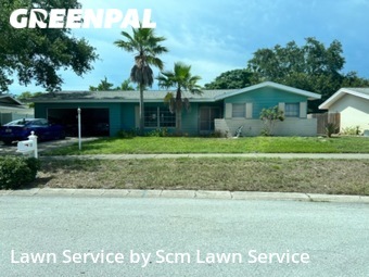 Lawn Care nearby Clearwater, FL, 
