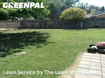 Grass Cutting nearby Elverta, CA, 