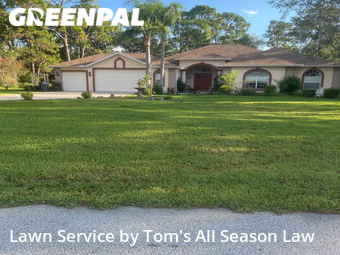 Grass Cut nearby Spring Hill, FL, 
