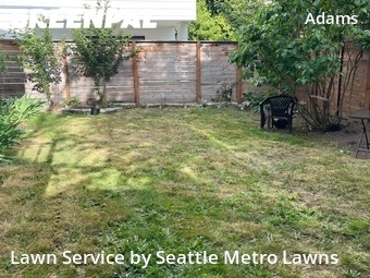 Landscaping Companies In Seattle,98107,Landscaping Services by Seattle Metro Lawns, work completed in Jun , 2026