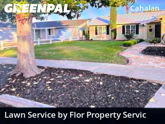 Lawn Care nearby San Jose, CA, 