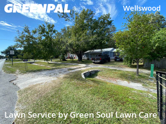 Lawn Care nearby Tampa, FL, 