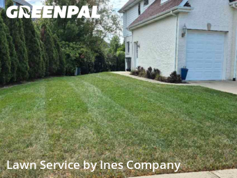 Lawn Cuttingin Orland Park,60462,Grass Cutting by Ines Company, work completed in Dec , 2025
