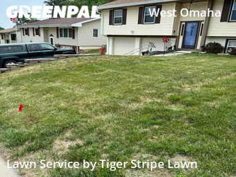 Lawn Care nearby Omaha, NE, 