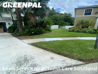 Lawn Cutting nearby Brandon, FL, 