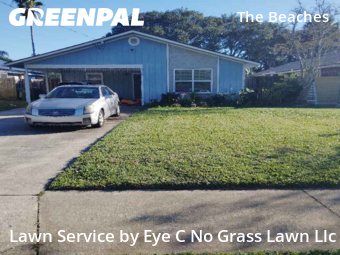 Lawn Care Servicein Jacksonville Beach,32250,Lawn Maintenance by Eye C No Grass Lawn Llc, work completed in Jan , 2026