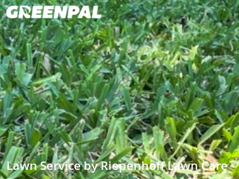 Lawn Mowing Service nearby Tampa, FL, 