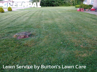 Lawn Mow nearby Boardman, OH, 