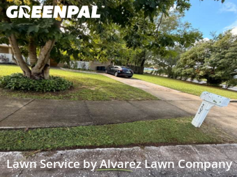 Lawn Mowing Servicein Altamonte Springs,32714,Grass Cutting by Alvarez Lawn Company, work completed in Dec , 2025